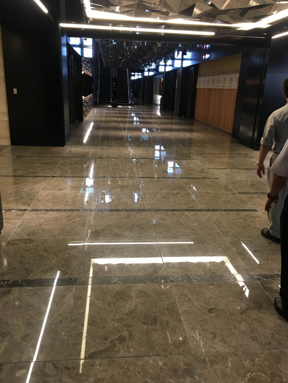 ���Ӽ��Ź���