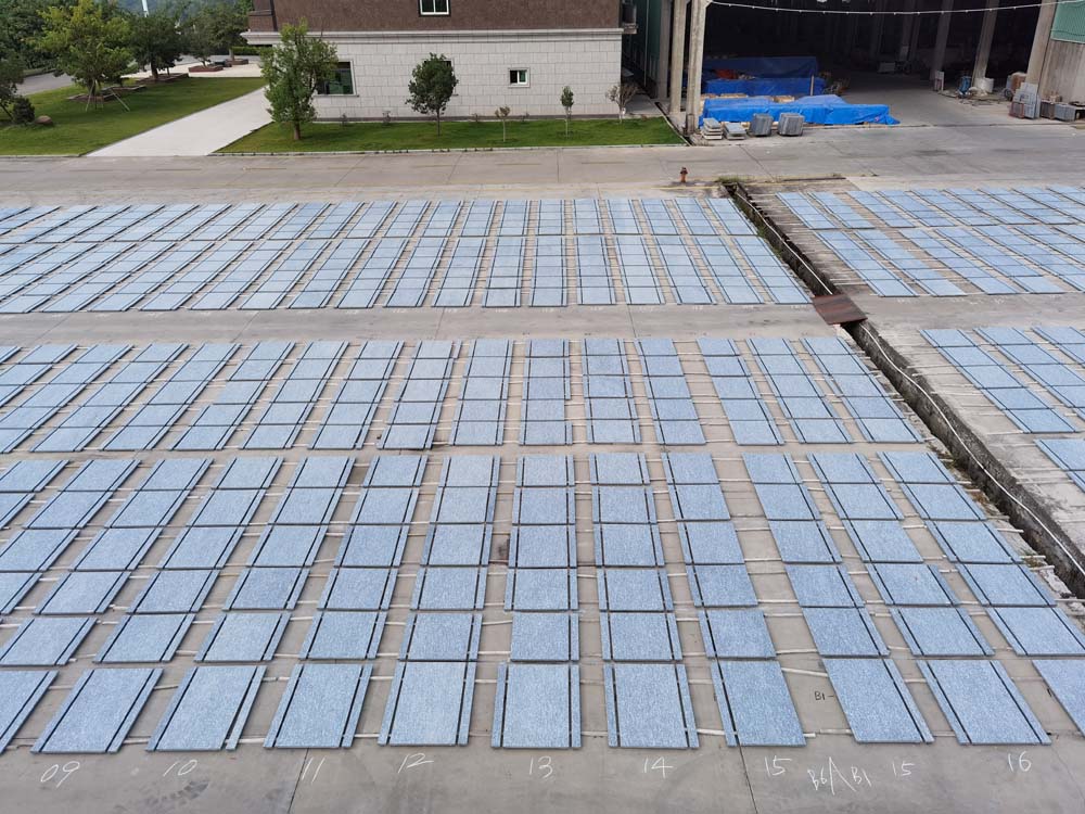 ���Ӽ��Ź���